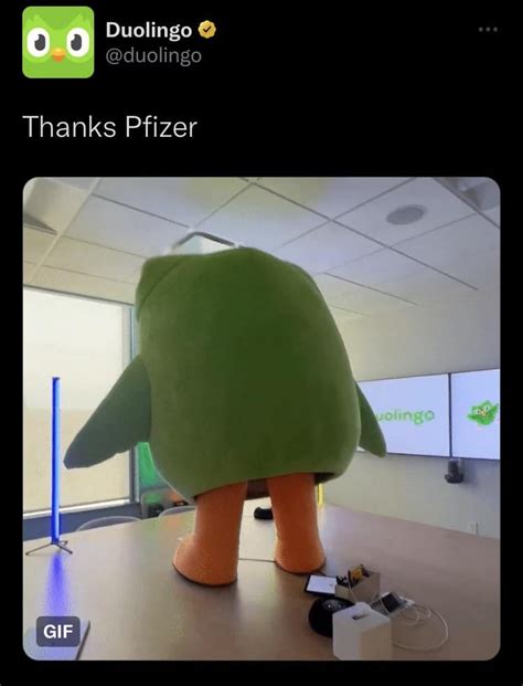 duolingo rule 34|If it exists, there is porn of it / duolingo .